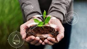 Organic Manure Storage