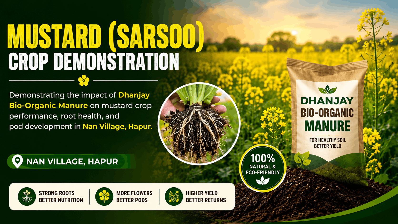 Mustard Crop Demonstration
