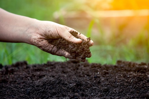 Organic Soil Testing