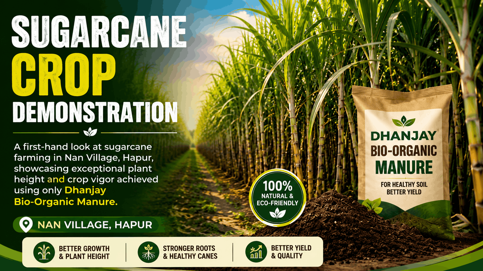 Sugarcane Crop Demonstration